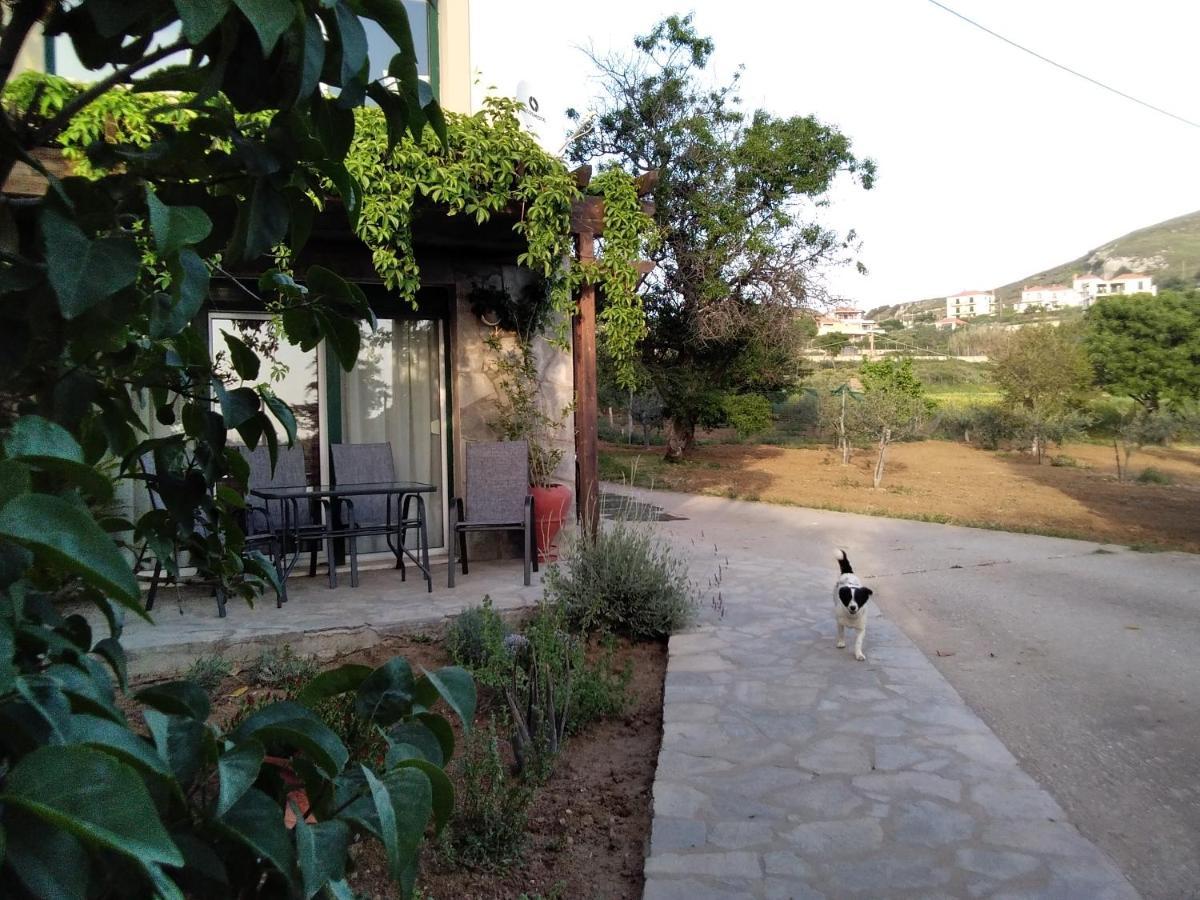 فيلا Αμυγδαλιές 33 Μύρινα المظهر الخارجي الصورة